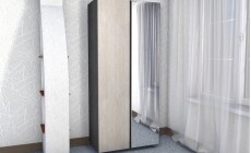 Шкаф Консул 2-х фасадный 1 зеркало